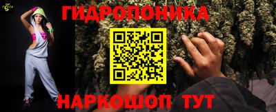 крисы Обнинск