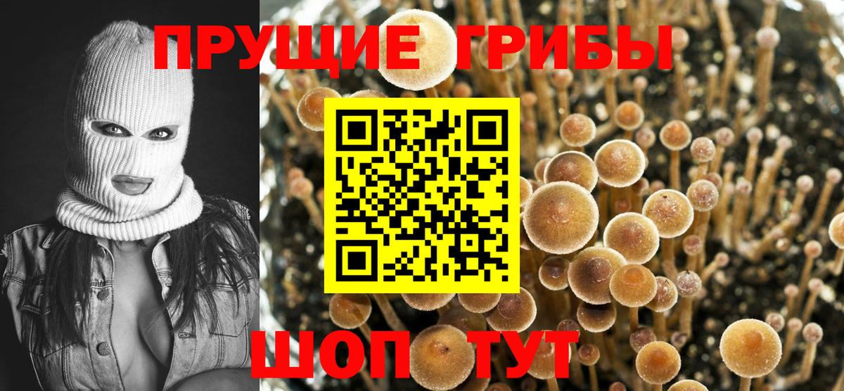 Удомля  Галлюциногенные грибы мицелий  Псилоцибиновые грибы MAGIC MUSHROOMS  Вход с VPN 