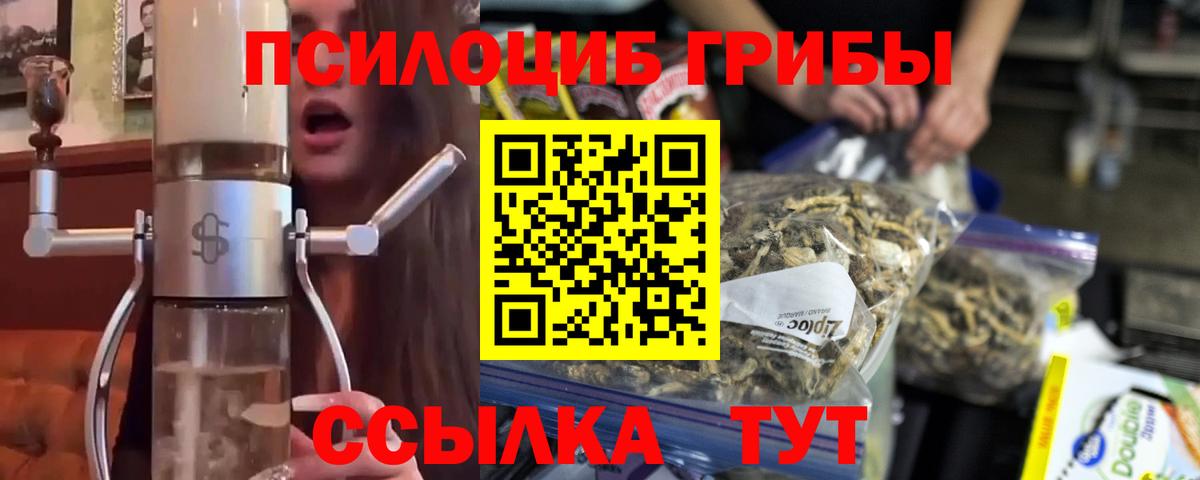 Псилоцибиновые грибы Psilocybine cubensis Удомля